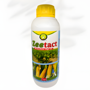 Zeetact