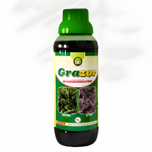 GRAZOR