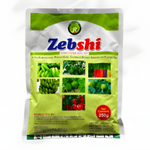 ZEBSHI