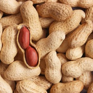 Groundnuts