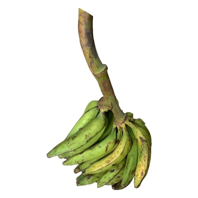 Fresh Unripe Plantain - Image 2