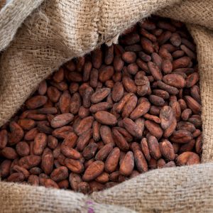 Cocoa Beans