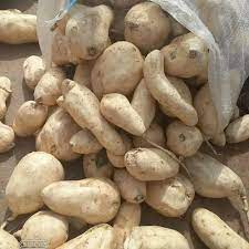 Fresh Sweet Potatoes - Image 2